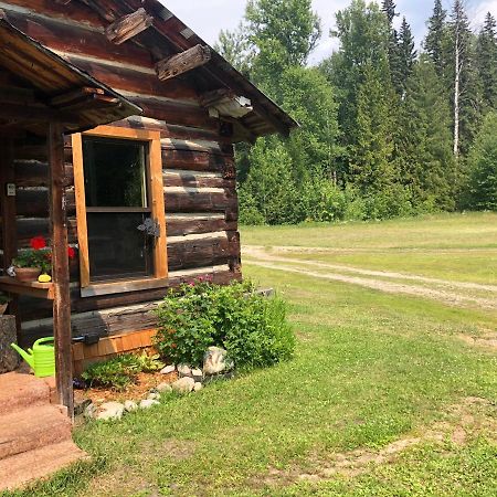 Mini-Mooh Cabin Clearwater Eksteriør bilde